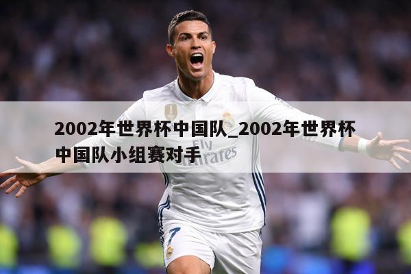 2002年世界杯中国队_2002年世界杯中国队小组赛对手