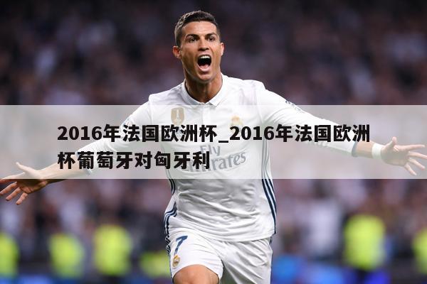 2016年法国欧洲杯_2016年法国欧洲杯葡萄牙对匈牙利