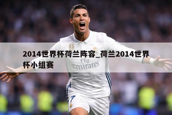 2014世界杯荷兰阵容_荷兰2014世界杯小组赛