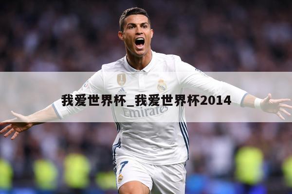 我爱世界杯_我爱世界杯2014